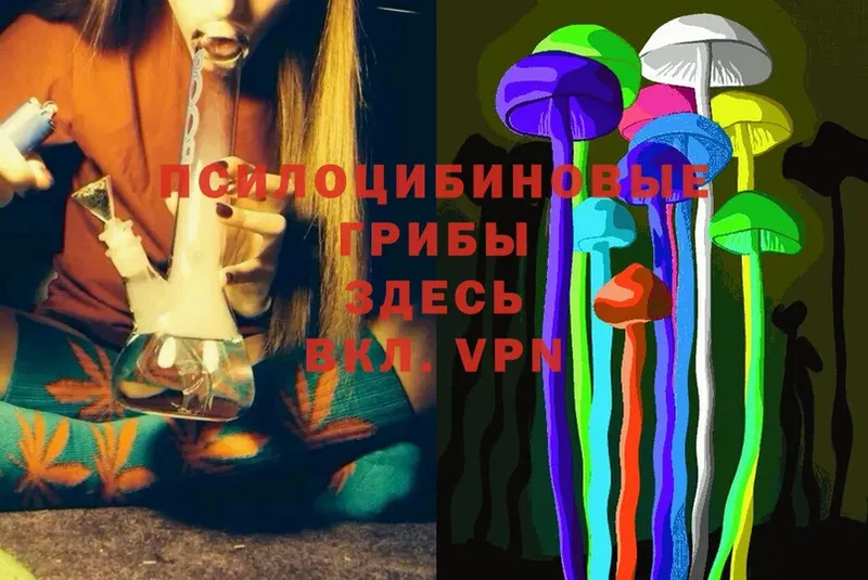 Галлюциногенные грибы MAGIC MUSHROOMS  ОМГ ОМГ как войти  Палласовка 